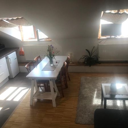 Apartman Slovinska 28 ブルノ エクステリア 写真