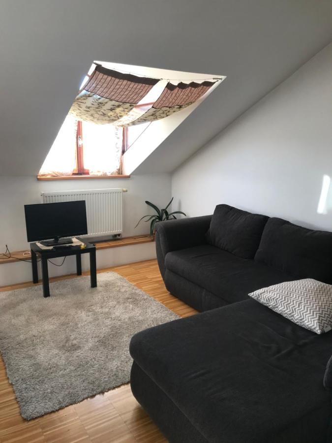 Apartman Slovinska 28 ブルノ エクステリア 写真