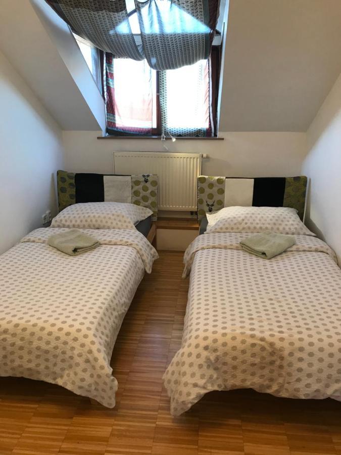 Apartman Slovinska 28 ブルノ エクステリア 写真
