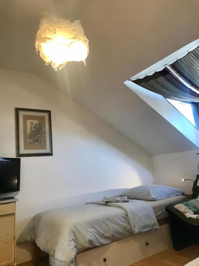 Apartman Slovinska 28 ブルノ エクステリア 写真