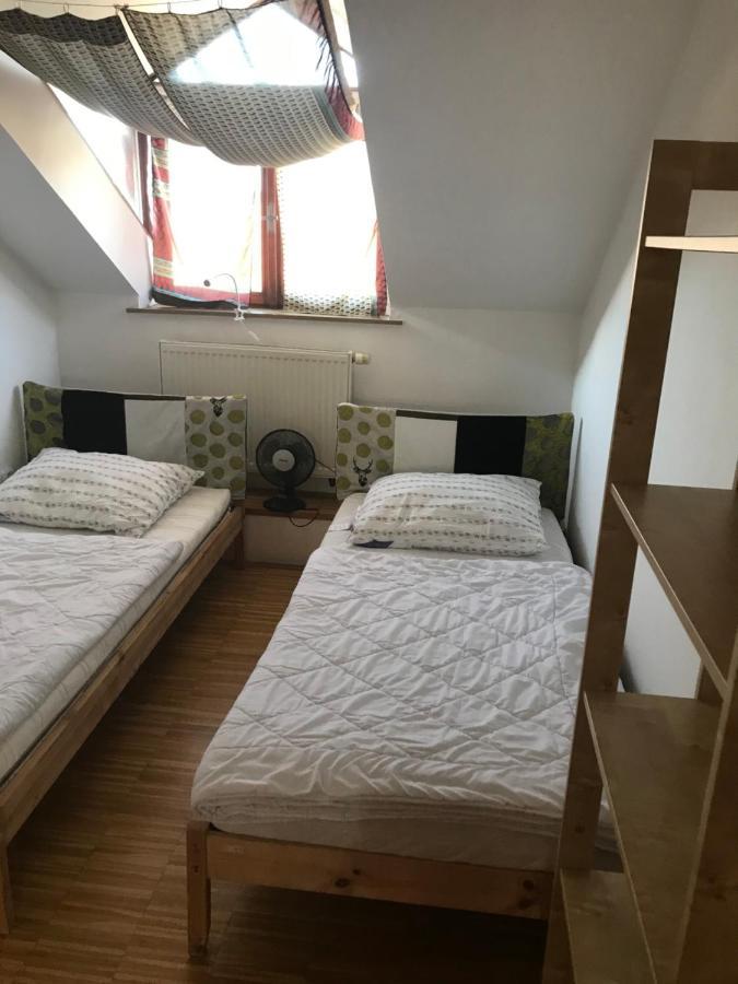 Apartman Slovinska 28 ブルノ エクステリア 写真
