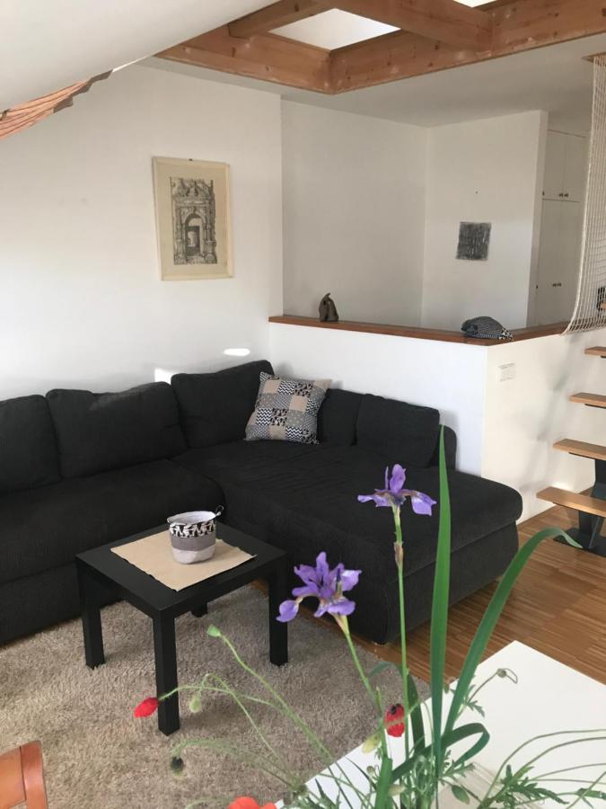 Apartman Slovinska 28 ブルノ エクステリア 写真
