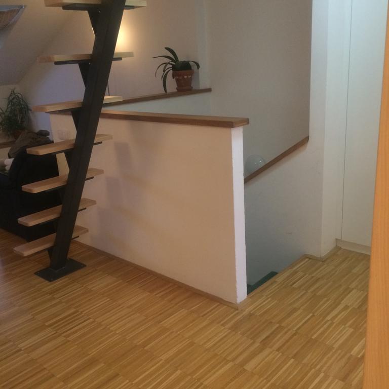 Apartman Slovinska 28 ブルノ エクステリア 写真