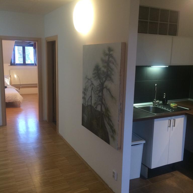 Apartman Slovinska 28 ブルノ エクステリア 写真