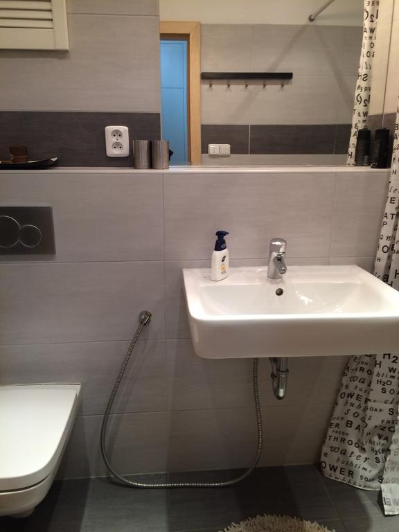 Apartman Slovinska 28 ブルノ エクステリア 写真