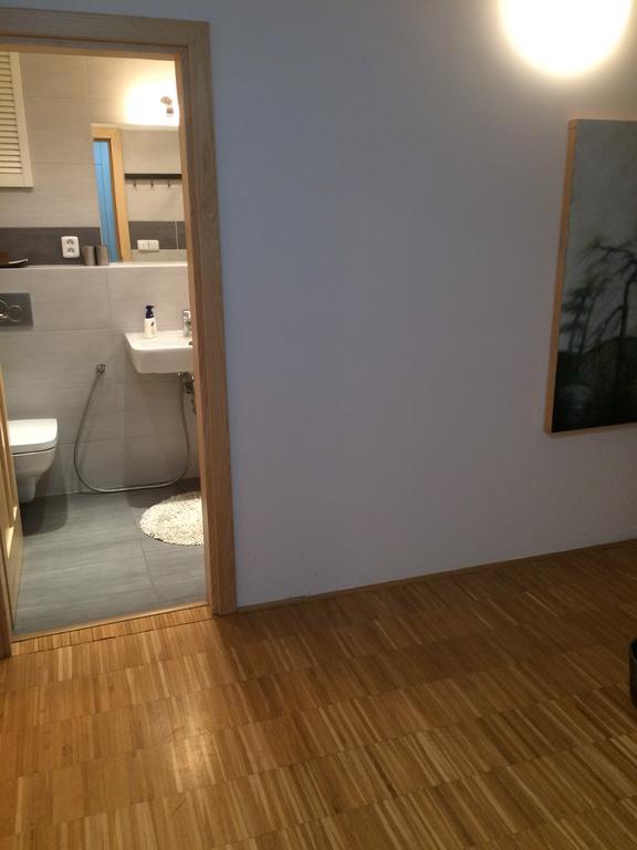 Apartman Slovinska 28 ブルノ エクステリア 写真